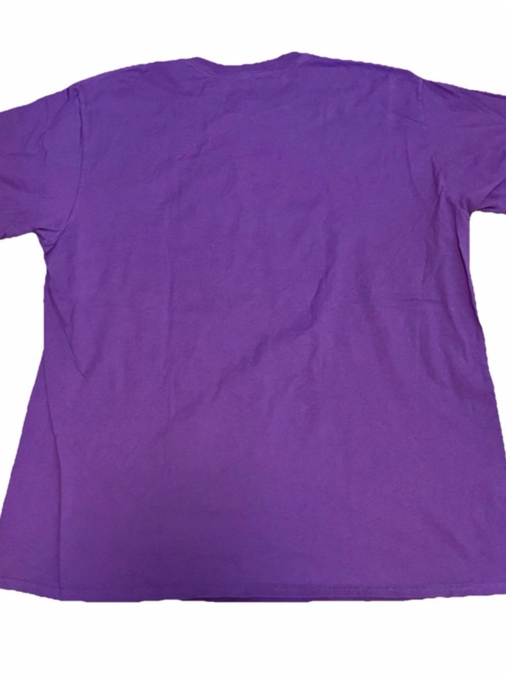 Vintage Disney 2015 F&G Fest Epcot Figment Sorcerer Mickey Pass holder Shirt 2XL - Picture 2 of 3